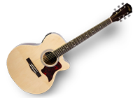 A starter acoustic guitar with dark wood pick guard, a typical example of beginner acoustic guitars