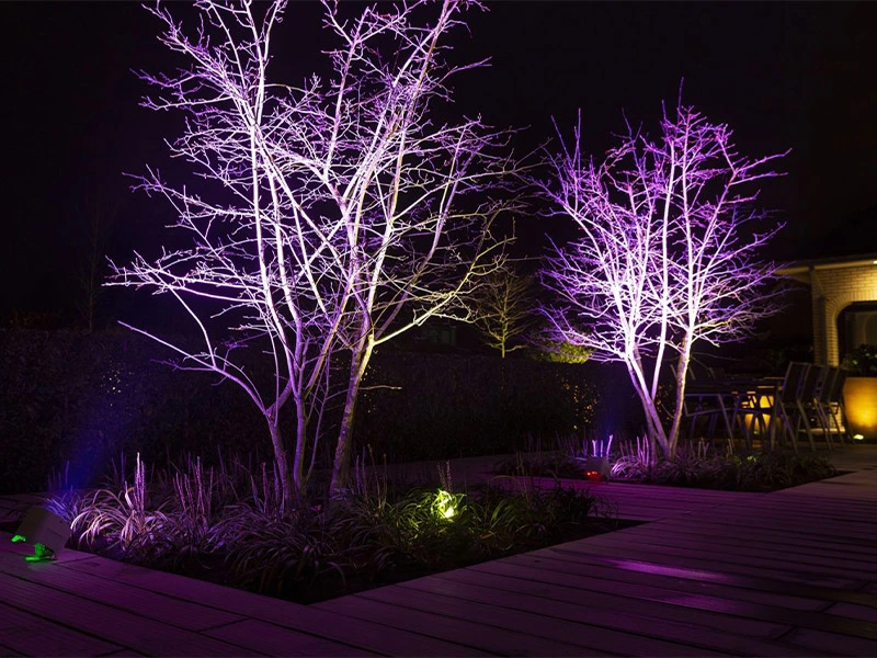 Tree illumination using battery uplighters 